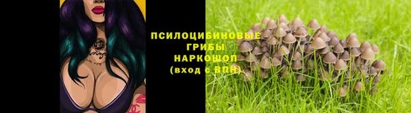 крисы Заволжск