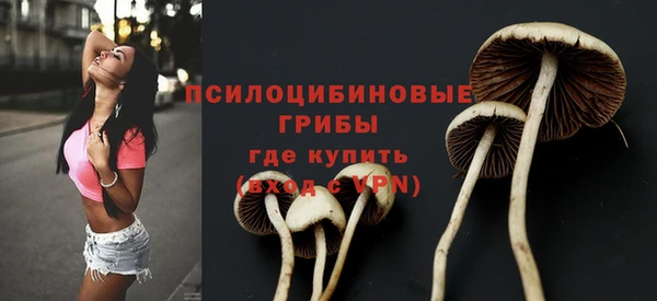 героин Заводоуковск